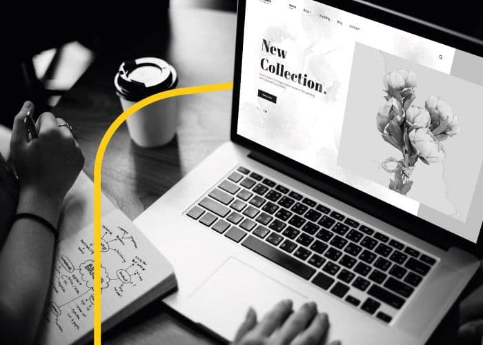 The Best WordPress Plugins and Tools for Your Ecommerce Website